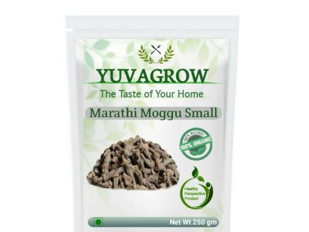 Yuvagrow Marathi Moggu Small Online