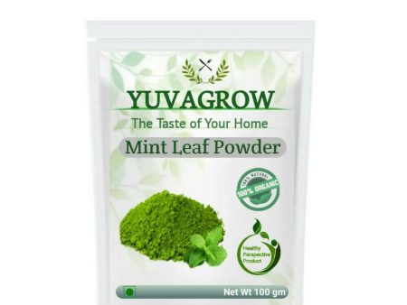 Yuvagrow Mint Leaf Powder Online Sale