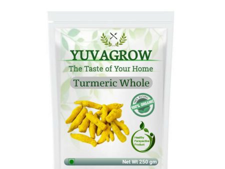 Yuvagrow Turmeric Whole Hot on Sale