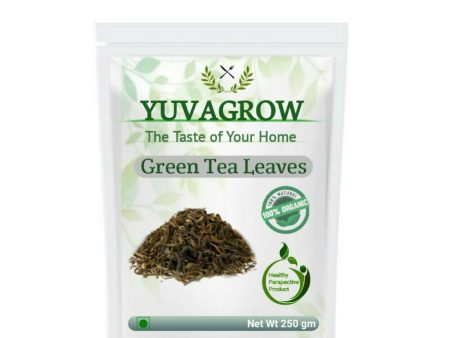 Yuvagrow Green Tea Leaves Online now