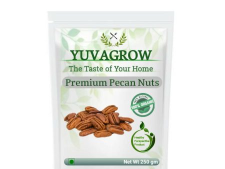 Yuvagrow  Premium Pecan Nuts For Sale