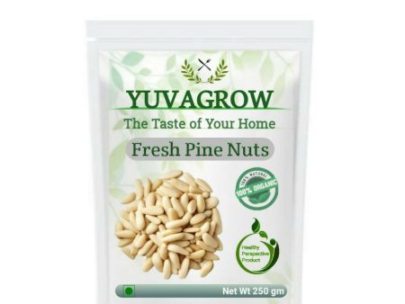 Yuvagrow Fresh Pine Nuts For Discount