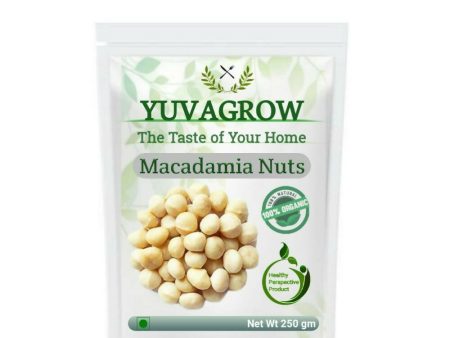 Yuvagrow Macadamia Nuts Sale